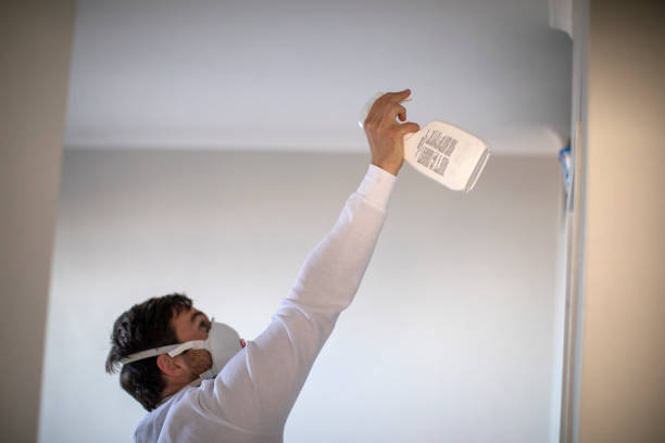 Best Water Damage Restoration  in Lla Lla, WA