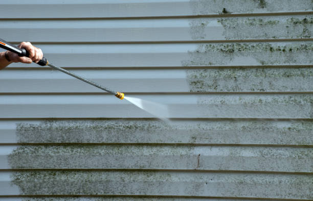 Best Attic Mold Removal  in Lla Lla, WA
