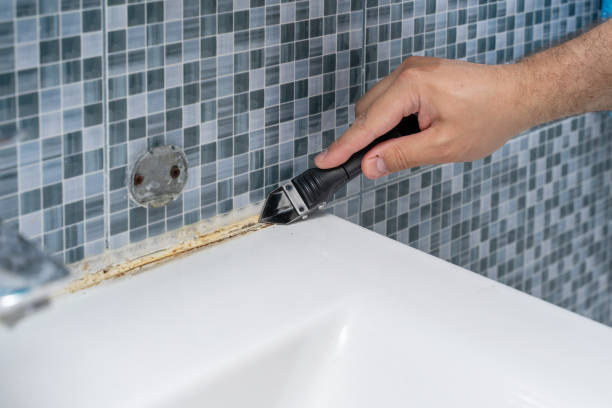 Best Residential Mold Removal  in Lla Lla, WA